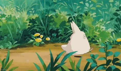 Just some Totoro loops - GIFs - Imgur My Neighbor Totoro Gif, Totoro Banner, Totoro Gif, Ghibli Gif, Neighbour Totoro, Studio Ghibli Background, Cute Laptop Wallpaper, Ghibli Artwork, Neighbor Totoro