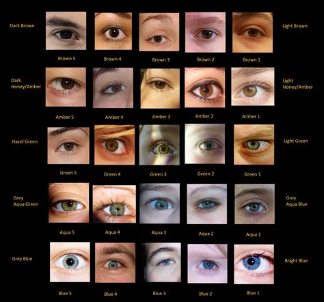 Eye colour chart with photos of real eyes. Eye Colours Chart, Eye Type Chart, Eye Colour Chart, Eye Color Names, Eye Color Reference, Types Of Eye Colors, Drawing 101, Eye Color Chart, Eye Anatomy