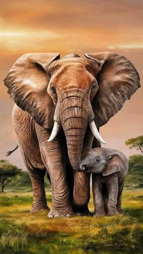 African Elephant Illustration, Elephant Aesthetic, Elephant Paintings, African Animals Photography, Elephant Painting Canvas, Africa Elephant, Regard Animal, Africa Art Design, Elephant Artwork