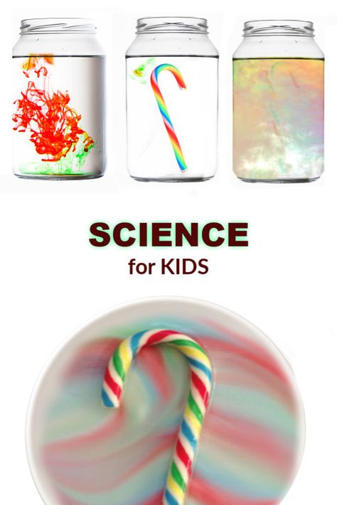 MAKE A CANDY CANE RAINBOW!  So cool! #experimentforkids #scienceexperimentskids #candycanecrafts #candycaneexperiment #candycaneexperimentforkids #candycanescience #disappearingcandycane #growingajeweledrose Candy Cane Experiment, Candy Cane Science, Science Christmas, Christmas Science Experiments, Experiment Science, Candy Cane Crafts, Christmas Science, Kid Experiments, Winter Preschool