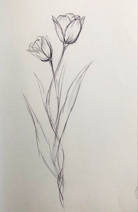 Plants Drawing Sketch, Cute Flower Sketches, Flower Drawing Inspiration, Flowers To Sketch, Tulip Spine Tattoo, Flower Sketch Aesthetic, Sketch Ideas Flowers, Flower Pen Sketch, Sketch Ideas Nature