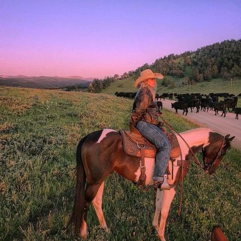 Country Girl Aesthetic, Foto Cowgirl, Country Girl Life, Looks Country, Rodeo Life, Western Life, Cowgirl Aesthetic, Horse Aesthetic, Country Lifestyle