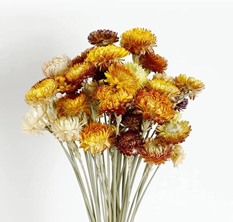 Chrysanthemum Bouquet, Office Party Decorations, Fall Pumpkin Decor, Dried Lavender Flowers, Mums Flowers, Daisy Bouquet, Wheat Straw, Dried Oranges, Diy Arrangements