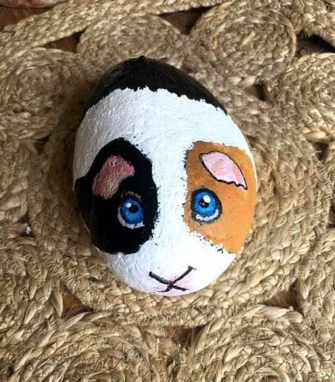 Cute Animal Painted Rocks, Painted Rocks Ideas Easy Animals, Animals On Rocks Stone Painting, Realistic Animal Painted Rocks, Cat And Dog Painted Rocks, Fairy House Crafts, Diy Rock Art, Painted Rock Animals, Seashell Painting