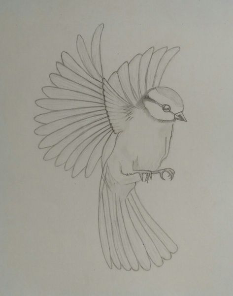 Sketch Of Birds Flying, Bird Realistic Drawing, Flying Sparrow Drawing, Easy Sparrow Drawing, Simple Bird Sketch, Flying Bird Drawing Simple, Bird Drawings Flying, Simple Bird Drawing Sketches, How To Draw A Bird Flying