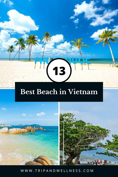 Looking for a beach escape? Explore our board on the 13 Best Beaches in Vietnam! 🌴🌊 #VietnamBeaches #TravelGoals Vietnam Beaches, Beaches In Vietnam, Best Beaches, Vietnam Travel, Turquoise Water, Ho Chi Minh City, Travel Goals, Ho Chi Minh, Hanoi