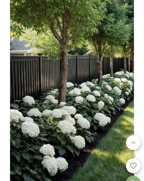 Sloped Fence Landscaping, Small Front Yard Landscaping Ideas Minimalist, Front Yard Landscaping Small Area, Side Yard Garden Design, Hydrangea Landscaping Along Fence, Backyard Landscaping Wooded Area, Hydrangeas Along Fence, Wooded Landscape Ideas, Hydrangea Along Fence