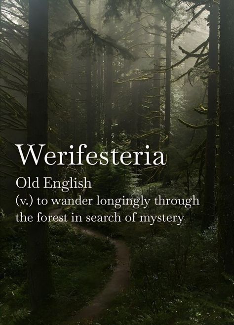 Beautiful Words In Other Languages, Plant Witchcraft, Rare English Words, Mysterious Words, Deep In The Forest, Nature Magic, Nature Words, New Vocabulary Words, Unique Words Definitions