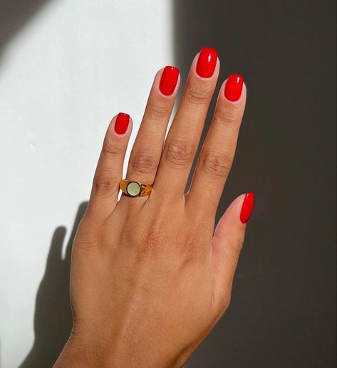 Red Shirt Gel Nails, Short Red Arclyc Nail, Bright Red Nails On Brown Skin, Red Dip Manicure, Red Manicure Black Women, Red Rounded Square Nails, Short Red Orange Nails, Bright Red Nail Color, Red Small Nails