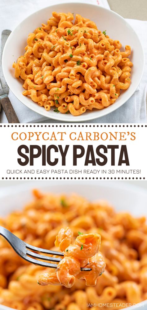 Spicy Rigatoni, Spicy Pasta Recipes, Spicy Pasta, Quick Pasta Recipes, Quick Pasta, Easy Pasta Dishes, Pasta Dinners, Pasta Dinner Recipes, Pasta Sauce Recipes