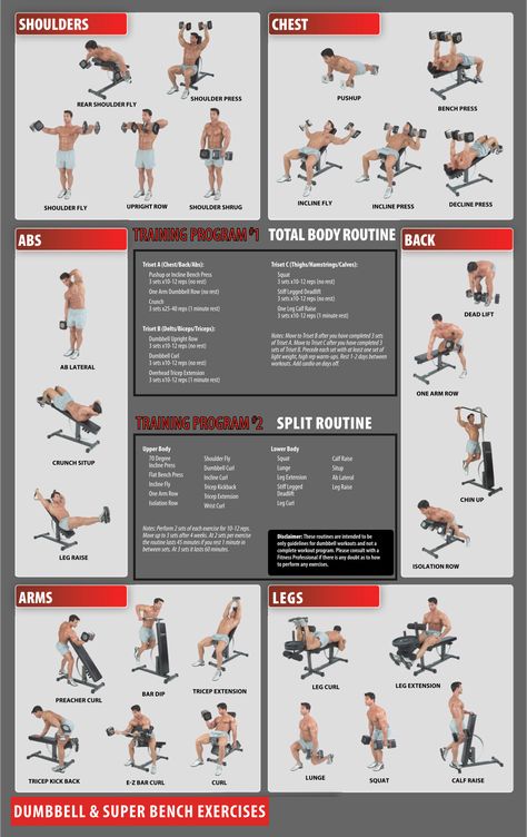 Dumbbell Workouts Exercise Charts Free Dumbbell Full Body Workouts, Beginner Free Weight Workout, Full Body Workout With Dumble, Dumbell Workout Printable, Dumbbell Superset Workout, Full Body Exercises Gym, Free Weight Workout For Men, Printable Workouts For Gym, Gym Workout Chart For Men