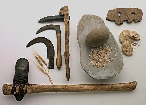 Neolithic age in India History Of Agriculture, Neolithic Revolution, Stone Age Tools, Agricultural Tools, Materi Bahasa Jepang, Ancient Tools, Prehistoric Art, Native American Artifacts, Tutankhamun