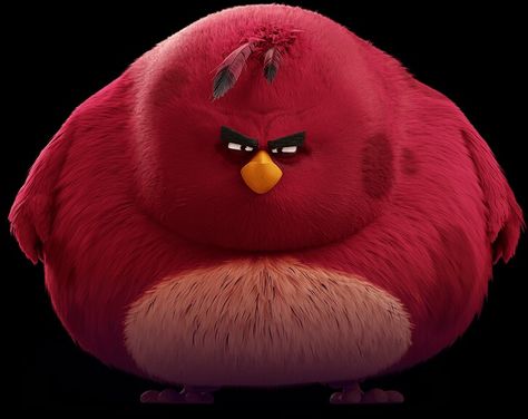 Angry Birds Movie Characters, The Biggest Bird, Big Bird Meme, Biggest Bird, Bird Meme, Kaws Iphone Wallpaper, Cool Black Wallpaper, Birds Movie, Angry Birds Movie