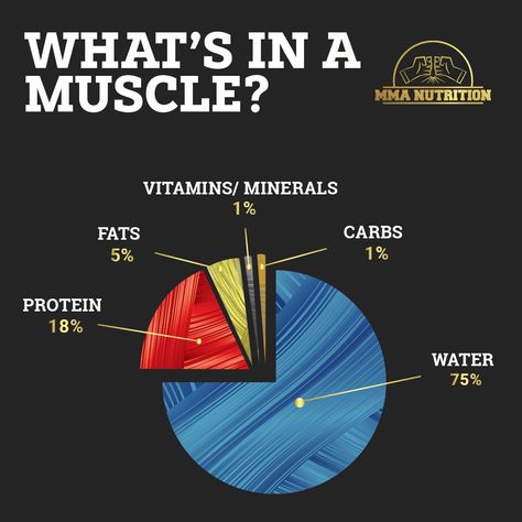 What’s in a muscle?! Knowing what they are actually made of is super important. 💪🏼 ⁠ ⁠⁠ Rounding out the rest we have vitamins, fats, minerals, and some carbs, which all play their own role in maintaining healthy muscle tissue.⁠ .⁠ .⁠ .⁠ #infographic #musclebuilding #thepump #knowyourbody #bodycomposition #nutrition #progress #hydrate #hydrateyourhealth #MMANUTRITION #HYDROLYTE⁠ Gym Graphics, Muscle Hypertrophy, Fitness Facts, Healthy Man, Cardio Workouts, Funny Jokes In Hindi, Protein Shake Recipes, Abs Workout Routines, Muscle Tissue