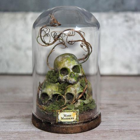 Oddities Curiosities Unusual Small Gifts in by ArtificialiaRoom Glass Dome Display, Curiosity Cabinet, Dark Home Decor, Halloween Miniatures, Goth Home, Goth Home Decor, Dark Home, Terrarium Decor, Goth Decor