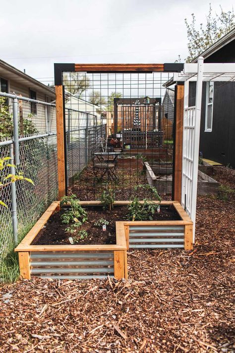 Hog Panel Trellis, Ryobi Lawn Mower, Panel Trellis, Hog Wire Fence, Building A Trellis, Building Raised Beds, Landscape Curbing, Wood Mulch, Wire Fence