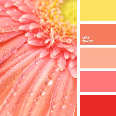 paleta barev Yellow Bedrooms, Orange Wedding Flowers, Wall Living Room, Color Palate, Design Seeds, Color Balance, Living Room Bathroom, Play Kitchen, Night Stand