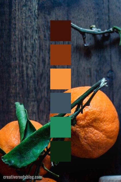 Color palette inspired by bright orange tangerines with deep green leaves. The contrast of the bright orange with the dark grey wood is a modern color scheme. Interior design, graphic design, and more can find inspiration and color ideas from this modern color scheme. Rust red, bright orange tangerine, grey blue, and leafy greens create a color palette with a pop of color. Farmhouse Color Palette, Farmhouse Color, Color Palette Inspiration, Orange Color Palettes, Modern Color Schemes, Farm House Colors, Red Colour Palette, Color Schemes Colour Palettes, Palette Inspiration