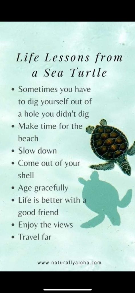 Sea Turtle Quotes, Turtle Tattoo Meaning, Turtle Meaning, Turtle Quotes, Morning Encouragement, Spirit Animal Totem, Turtle Tattoo, Summer Baby Shower, Animal Totem