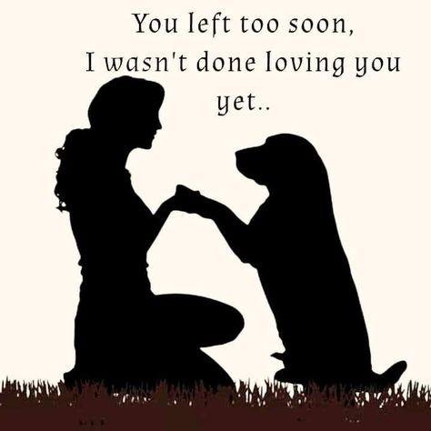 You Left Too Soon Tattoo, Quotes For Losing A Dog, Lost Dog Tattoo, Losing A Dog Quotes, Losing A Pet Quotes, Dog Passing, Dog Heaven Quotes, Charlie Boy, Doggy Quotes