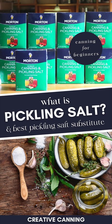 What is Pickling Salt & Best Pickling Salt Substitute: Home Canning 101 - Pickling salt is an important ingredient for a plethora of homemade pickling and homer canning recipes that provide long-term storage and preservation of food. Whether you are a beginner looking to learn the basics of home canning, or a more experienced cook searching for tasty pickle recipes, it is essential to understand what pickling salt is, what it can be used for, and why it is a superior canning salt substitute. Water Bath Canning Recipes, Easy Pickling Recipes, Easy Pickle, Canning Salt, Salt Substitute, Curing Salt, Easy Canning, Pressure Canning Recipes, Pickle Recipes