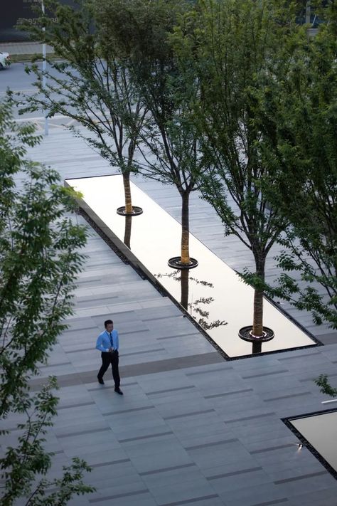 Water Scape, Landscape Plaza, Campus Landscape, Landscape And Urbanism Architecture, Water Architecture, Plaza Design, Courtyard Landscaping, Paving Design, Pool Water Features