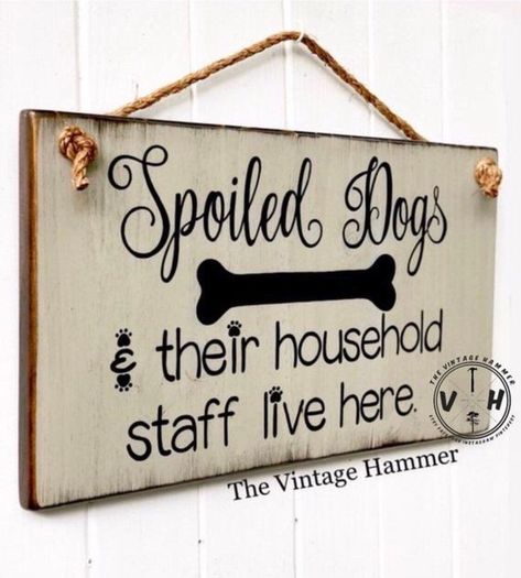 Spoiled Dogs Live Here Wall Decor Sign. Weather Resistant | Etsy | Wood signs sayings, Porch signs, Wood signs Spoiled Dog, Wood Signs Sayings, Spoiled Dogs, Diy Wood Signs, Dog Crafts, Pet Signs, Craft Show Ideas, Cricut Craft Room, Dog Decor