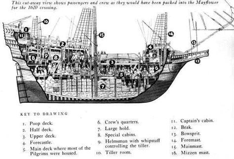 Mayflower as it would have been loaded with passengers and crew Mayflower Ancestry, Mayflower Ship, Plymouth Colony, American History Lessons, The Mayflower, United States History, Colonial America, Homeschool History, History Education