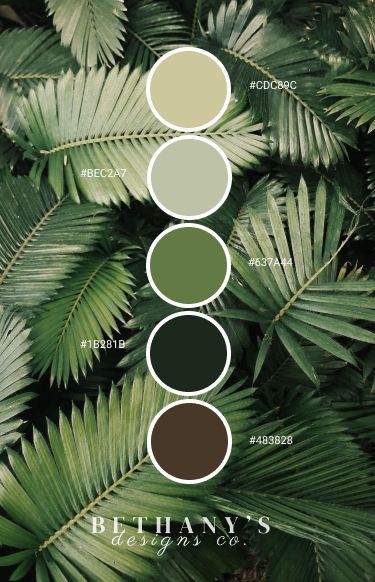 A variety of beautifully displayed from Greens, to Browns to Greys, taken from a Deep Dark Leafy background. Created by Bethany's Designs Co. Green Color Palette, Green Colour Palette, Bedroom Green, Colour Palettes, Monstera Leaf, Graphic Designs, Color Pallets, Deep Green, Colour Palette