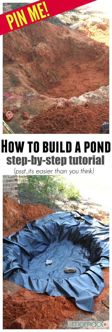 Build A Pond, Kolam Koi, Building A Pond, Backyard Pond, Garden Pond Design, Diy Pond, Pond Waterfall, Pond Landscaping, Backyard Water Feature