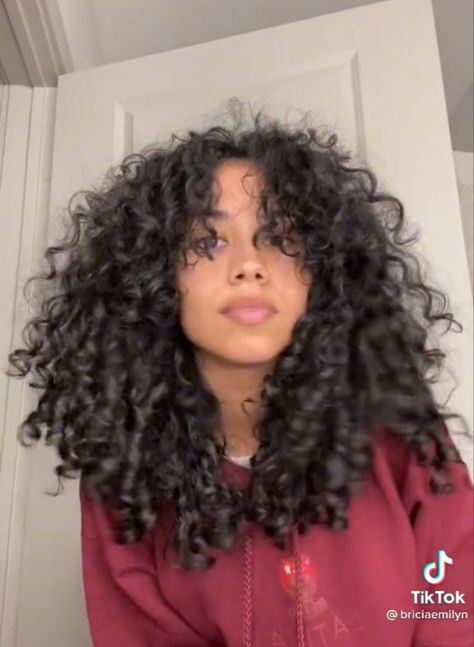 Curly Haircuts Layers Natural Curls, 3b Haircut Curly, Curtain Bangs 3b Hair, Curtain Bangs Coily Hair, Medium 3b Curly Hair, Face Framing Layers Curly Hair Natural, Curly Hairstyles Haircuts, Rezo Haircut Curly Hair, 3b Curls With Bangs