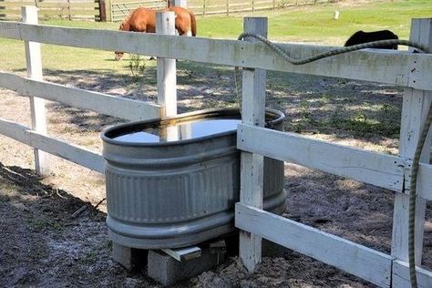 dual paddock water trough Barn Tack Room Ideas, Small Stable Ideas, Barn Ideas For Horses, Horse Pasture Ideas, Small Paddock, Horse Stall Ideas, Horse Barn Ideas, Horse Pasture, Horse Pens