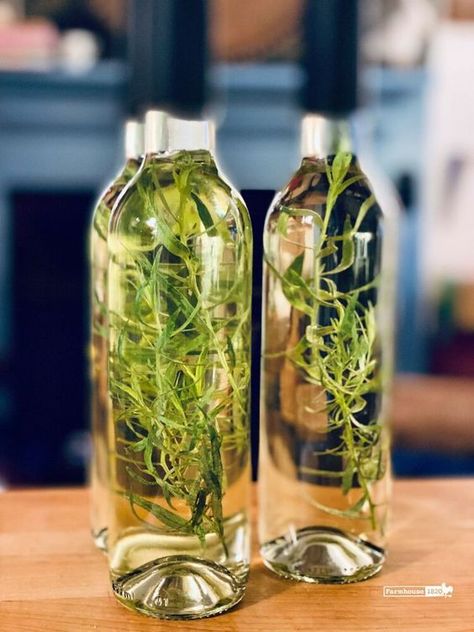 Tarragon vinegar is called for in many recipes. Homemade Tarragon Vinegar always on hand, and I make my own using fresh tarragon from my garden. I Tarragon Oil Recipe, Tarragon Recipes, Floral Spray Paint, Tarragon Vinegar, Flavored Vinegars, Infused Vinegars, Beef Marinade, Bearnaise Sauce, Best Champagne