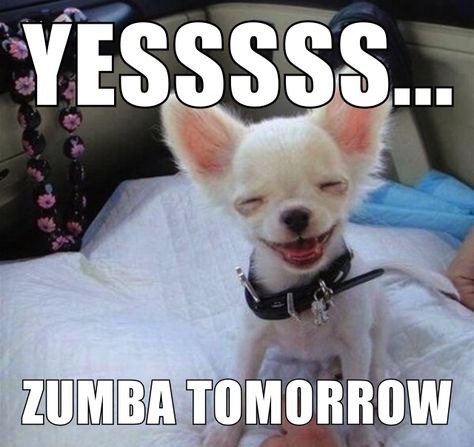 Zumba Memes Funny, Zumba Quotes Funny, Zumba Meme, Zumba Memes, Zumba Benefits, Zumba Funny, Zumba Strong, Zumba Quotes, Zumba Toning