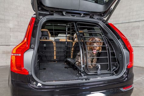 Mazda 6 Wagon, Boarding Kennels, Car Customization, Dog Boarding Kennels, Dog Transport, Puppy Litter, Doggy Daycare, National Dog Day, Car Shopping