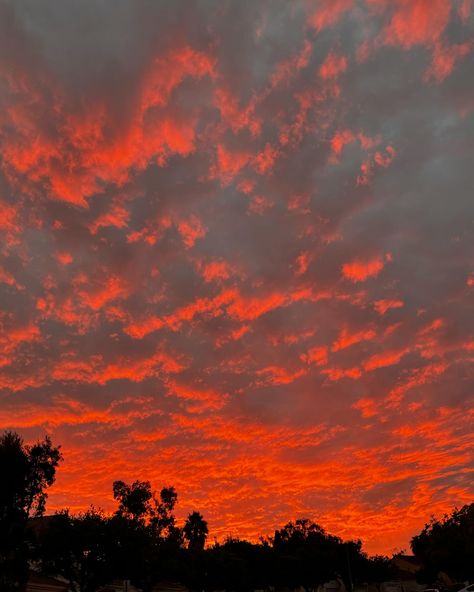 Tonight’s sunset was pure magic—fiery hues of orange and gold, a perfect reminder to reflect and feel grateful. 🌅🍁 What are you thankful for?#fivestarprofessionalagent #sandiegorealtor #sandiegorealhome #lilianabristmansandiegorealtor #WeAreCRS Orange And Gold, Five Star, San Diego, Pure Products, Feelings, Orange, Gold, Quick Saves