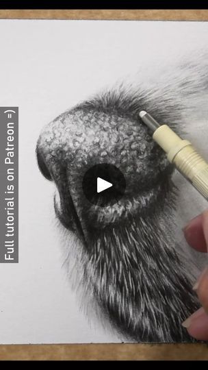 Drawing a dog nose in graphite | Another little study focusing on how to draw a dog nose in graphite :D. I like to focus on creating the 3D shape of the nose at the very first layer.... | By Zara's Pet Portraits & Wildlife ArtFacebook Drawing A Dog, Reactions Drawing, Draw A Dog, Dog Nose, 3d Shape, The Nose, Dog Drawing, Wildlife Art, Pet Portraits