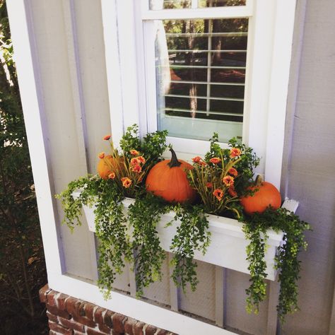 Fall window box Window Box Halloween Decor, Fall Window Boxes Ideas Artificial Flowers, Window Box Fall, Fall Window Boxes Fake Flowers, Simple Fall Window Boxes, Fall Window Boxes Using Faux Flowers, Fall Window Boxes, Corkboard Ideas Decor, Autumn Decorating