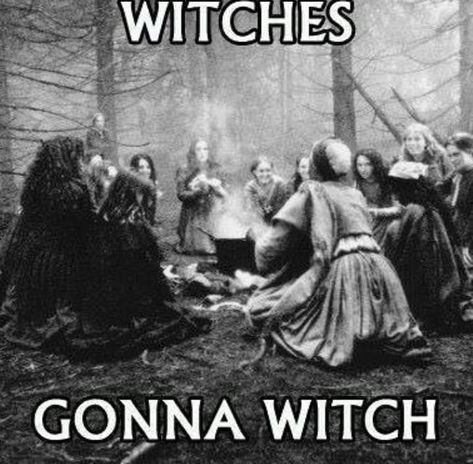 Witch Meme, Pagan Spells, Pagan Spirituality, Witch Quotes, Oracle Card Reading, Pagan Witch, The Witches, Spells Witchcraft, Wicked Witch