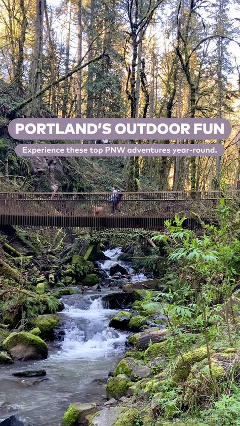 Gear up for a guided hike, bike ride or paddle in this Pacific Northwest wonderland. Pnw Vibes, Oregon Coast Roadtrip, Fall Adventures, Romantic Couple Getaways, Ballet Quotes, Oregon Vacation, Romantic Date Night Ideas, Water Poster, Maine Travel