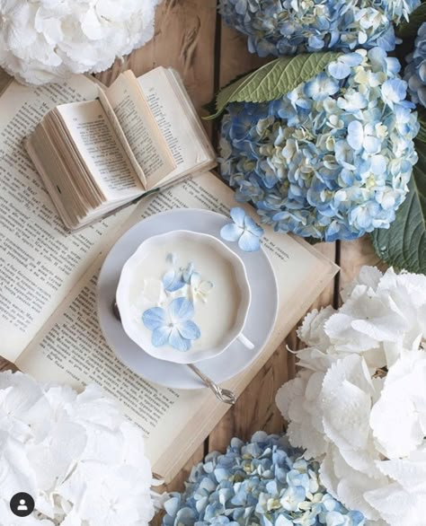 Hydrangea Cottage, Victoria Magazine, Blogger Tips, Solid Perfume, Instagram Summer, Blue Hydrangea, Pastel Aesthetic, Book Photography, Blue Aesthetic