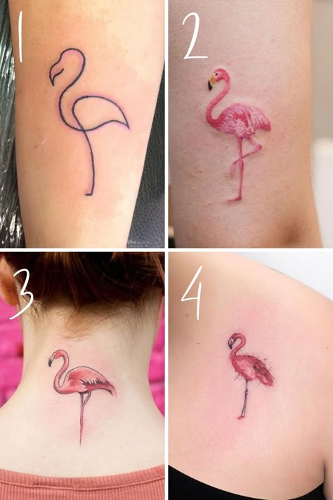 23 Fancy Flamingo Tattoo Ideas For Women - TattooGlee Pink Flamingo Tattoo, Flamingo Tattoo, Fancy Flamingo, Tattoo Ideas For Women, Hummingbird Tattoo, Elephant Tattoo, Dragonfly Tattoo, Tattoo Videos, Great Tattoos