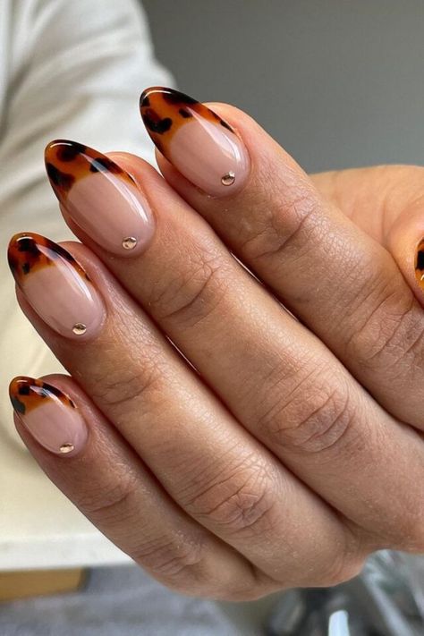 fall nail trends Short Square Nail Inspo 2024, Acrylic Claws, Square Gel Nails, Shellac Nails Fall, Paznokcie Hello Kitty, Almond Gel Nails, Kutek Disney, Maroon Nails, Fall Nail Trends