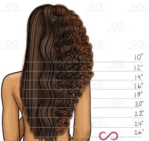 Growth chart Bangs Chart, Types Of Bangs Chart, 3c Curls, Types Of Bangs, Hairstylist Quotes, Hair Goal, Lumpy Space, Hair Length Chart, Morning Beauty Routine