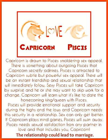 Capricorn & Pisces Aries Man Capricorn Woman, Capricorn And Pisces Compatibility, Pisces Man In Love, Pisces Relationship, Capricorn Relationships, Horoscope Signs Compatibility, Capricorn Aries, Family Quotes Strong, Pisces Compatibility