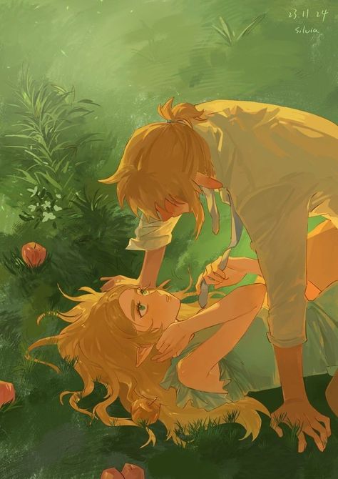 1080p Anime Wallpaper, Link Zelda, Cute Couple Drawings, Zelda Art, Twilight Princess, Cartoon Games, Romantic Art, Breath Of The Wild, The Legend Of Zelda