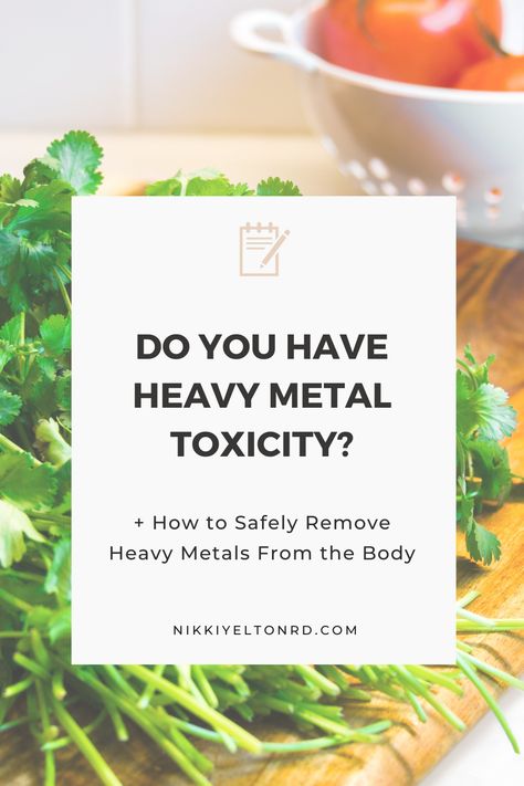 Heavy Metal Toxicity, Detox Symptoms, Heavy Metal Detox, Integrative Nutrition, Integrative Medicine, Gut Healing, Cleanse Your Body, Body Detox, Detox Your Body