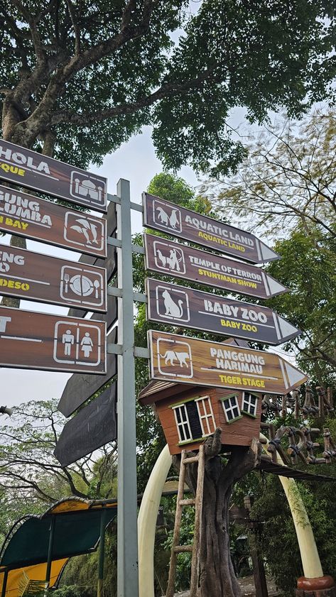 taman safari prigen jawa timur, rekreasi, liburan, hewan Taman Safari, Zoo Photos, Sign System, Zoo Babies, Malang, Bali, Healing, Travel, Quick Saves