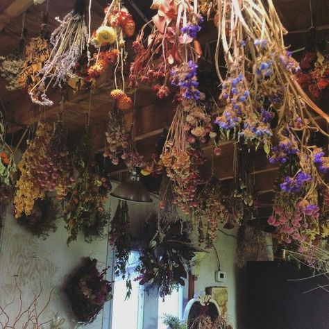 The Wiccan Path — Drying herbs and flowers from the ceiling for home... Winter Flowers Garden, Small Herb Gardens, Flowers Hanging, Magia Das Ervas, Witch Cottage, Witch Garden, Cottage In The Woods, Cottage Core Aesthetic, Witch Aesthetic