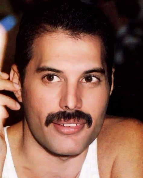 . It's you I adore,for evermore! ☆ ☆ #freddie #freddiemercury #farrokhbulsara #queen #rock #rocknroll #classicrock #hardrock #glamrock… Freddie Mercury Eyes, Freddie Mercury Tattoo, Freddie Mercury Quotes, Freddie My Love, Queen Brian May, King Of Queens, Freddy Mercury, Queen Love, Roger Taylor